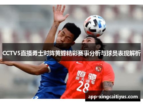 CCTV5直播勇士对阵黄蜂精彩赛事分析与球员表现解析